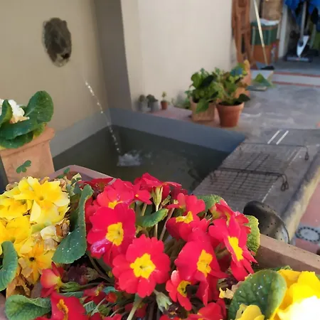 Wonderful Rustic With Garden-only Adults * Pistoia
